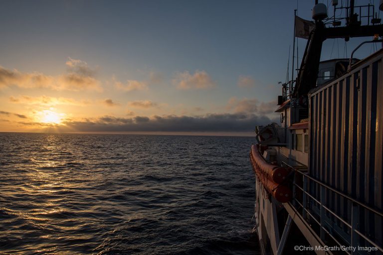 Read more about the article An enormity of pain